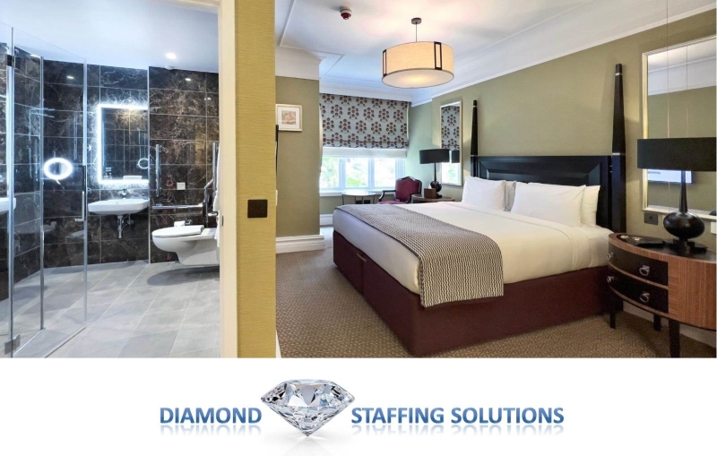 Diamond Staffing Solutions cauta cameris
