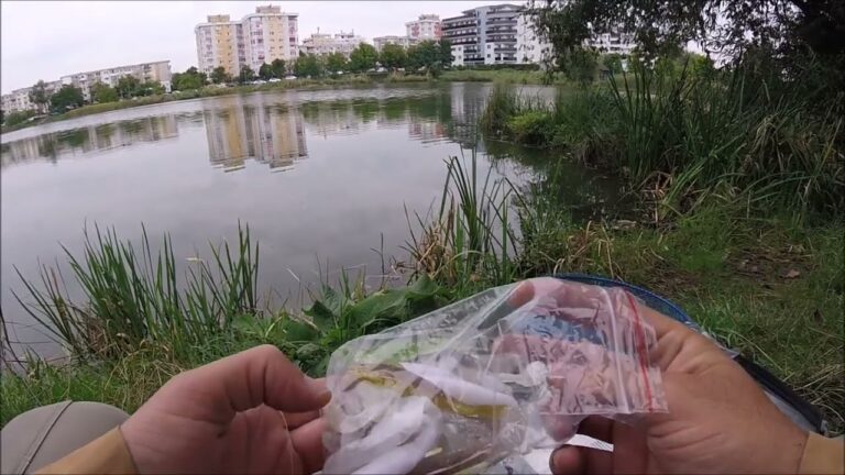Mai sunt pesti in Cluj-Napoca? – Peripetii pe lacul 3, Parcul Est
