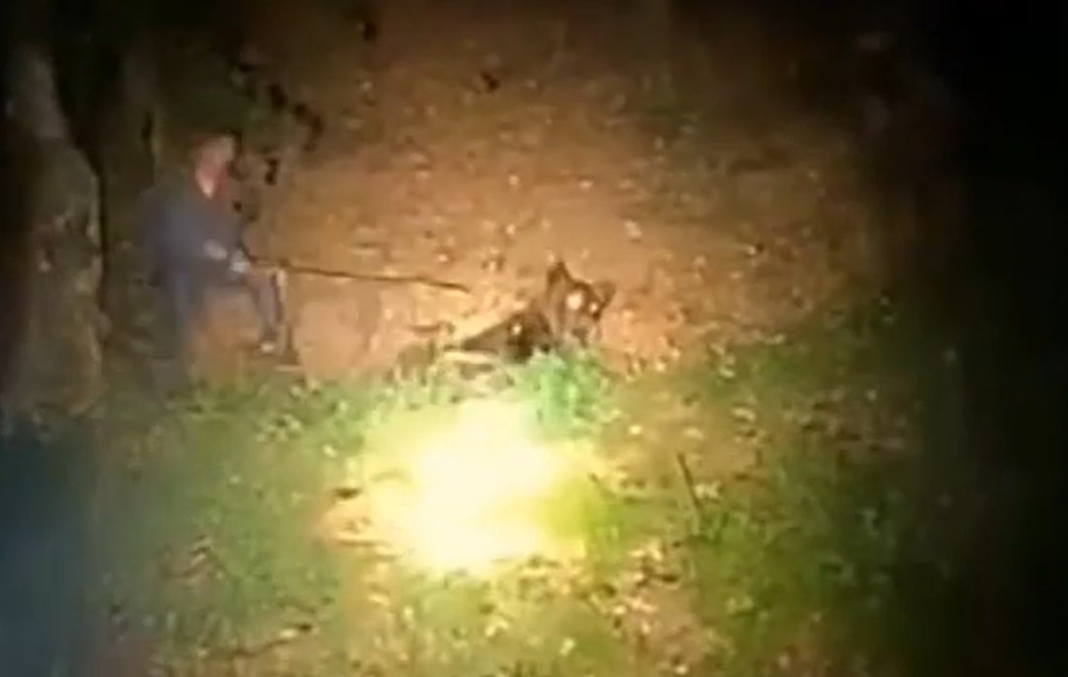 Bărbat filmat în timp ce lovea cu parul un urs care dormea în pădure. Animalul se repede la el