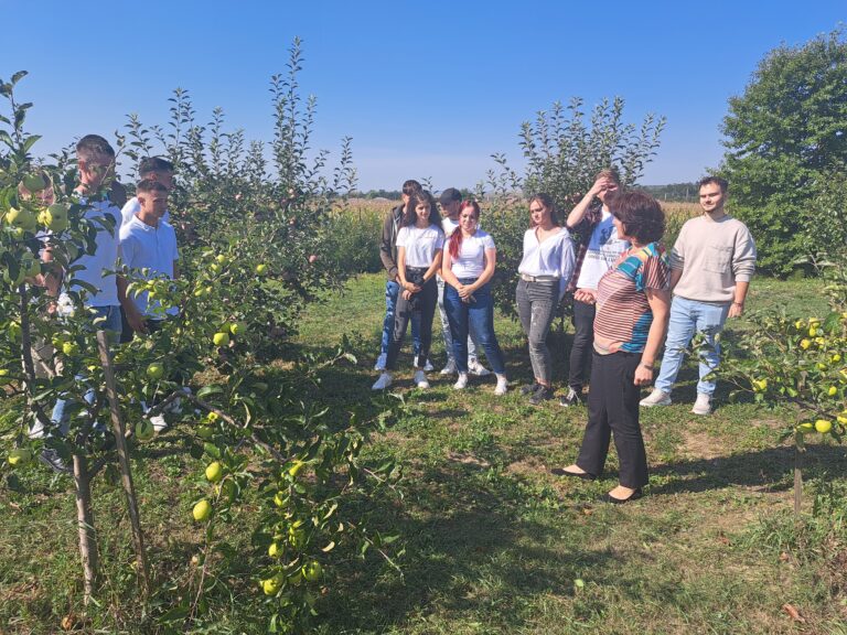 Secretul de la baza succesului liceului de la țară care „fabrică” specialiști la mare căutare în toată Europa