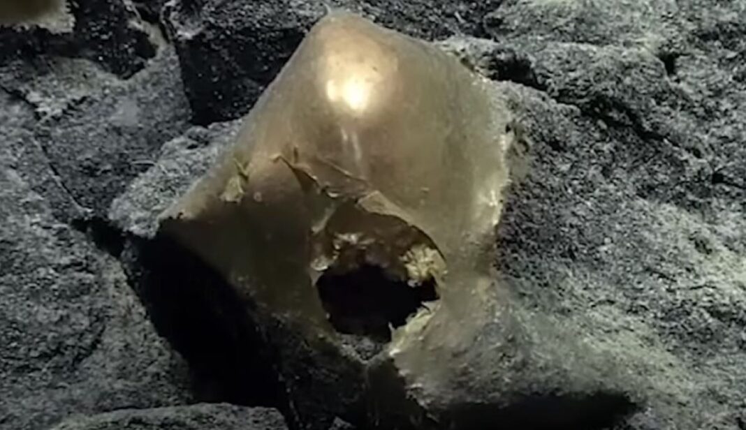 Sferă misterioasă, descoperită pe fundul Oceanului Pacific: „Este ca începutul unui film de groază” VIDEO