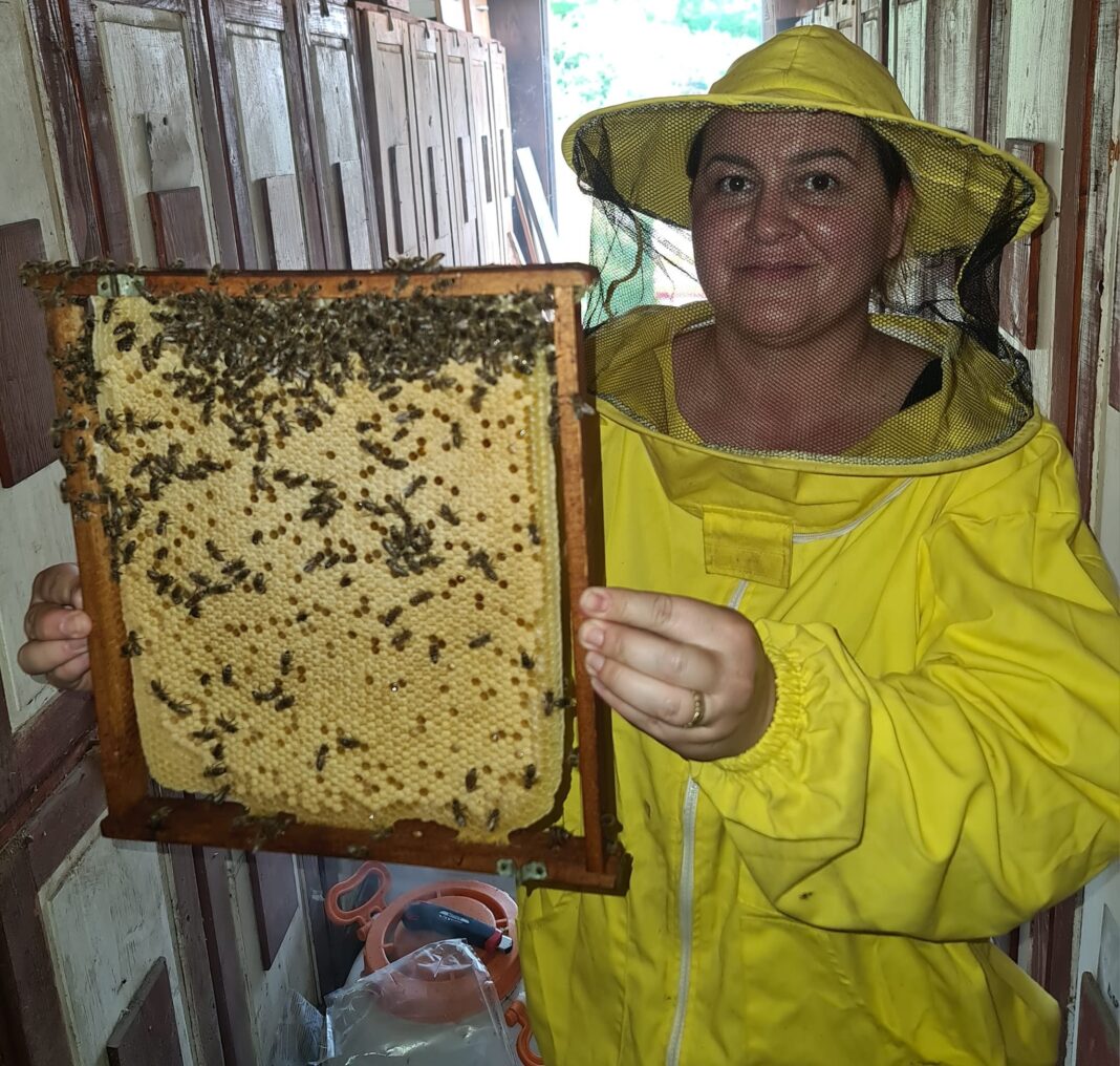 De ce trăiesc apicultorii mai mult. Ingredientele surprinzătoare ale înțepăturii de albină