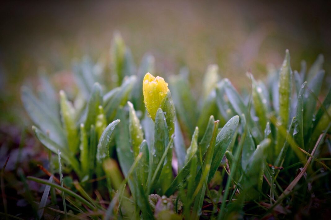 Prognoza meteo miercuri, 21 februarie: vreme tot mai caldă. Unde vor fi temperaturi ca în luna aprilie