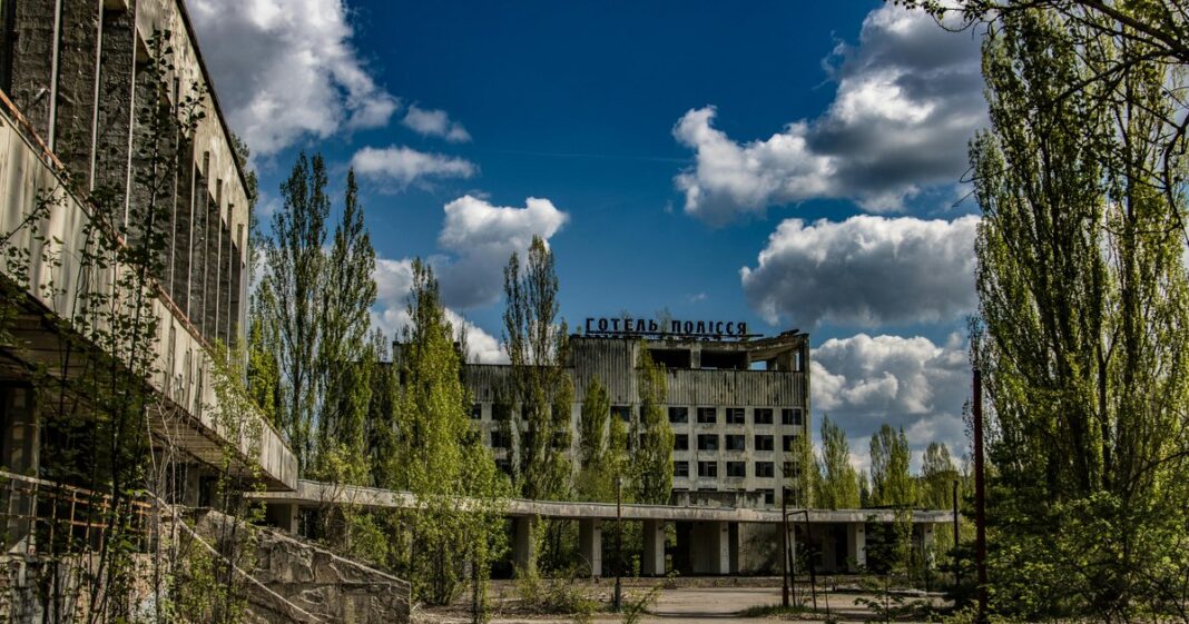 Misterioasele ciuperci negre de la Cernobîl care se hrănesc cu radiații. Oamenii de știință au rămas uluiți