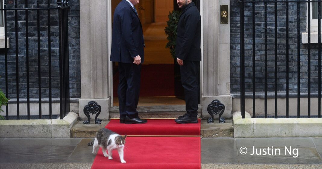 Larry, motanul de la Downing Street, a furat privirile în timpul vizitei lui Zelenski la Londra: „Lasați-l să intre, e frig”