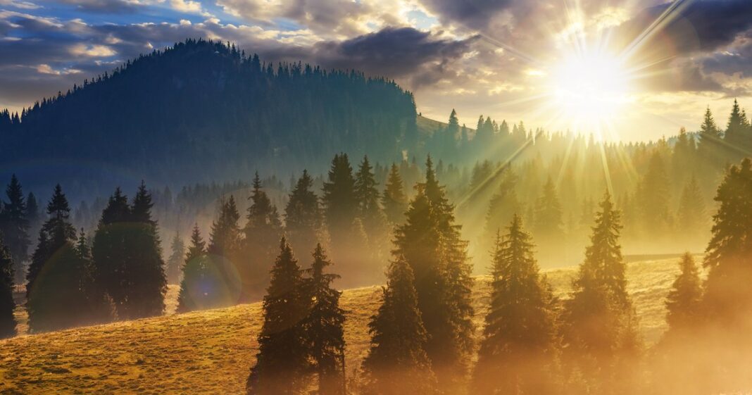 Prognoza meteo sâmbătă, 20 decembrie. Cod galben de ceaţă în 27 de judeţe şi în Bucureşti