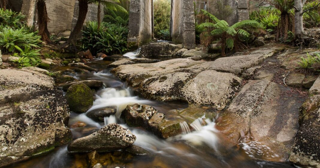 Cum a trimis AI-ul zeci de turiști într-un loc care nu există: „Le-am zis că le dau bere toată noaptea dacă-l găsesc”