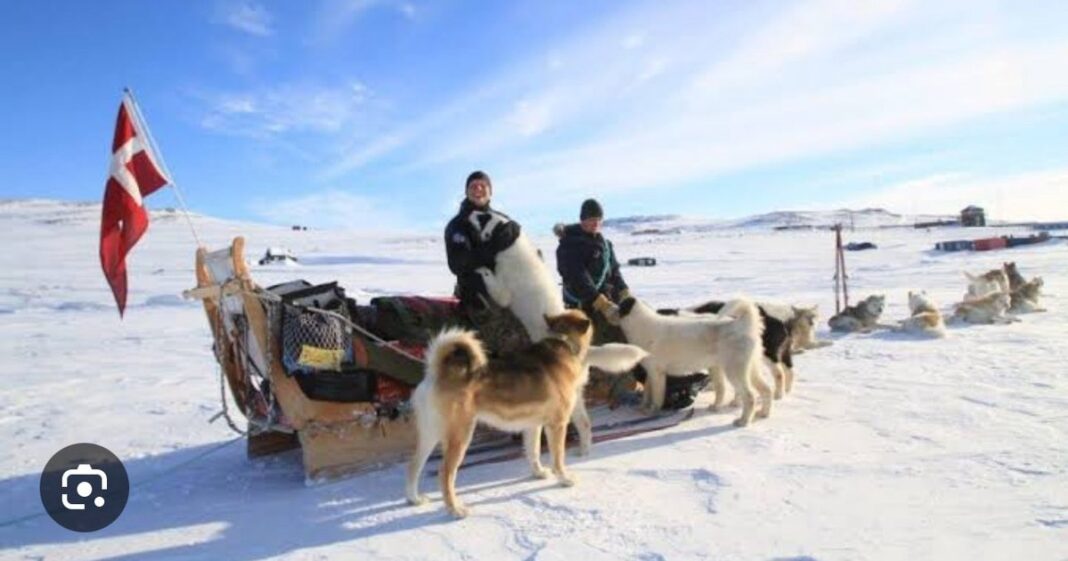 Patrula Sirius: forța discretă a Groenlandei, care supraviețuiește la minus 55 de grade și apără Arctica cu sănii trase de câini