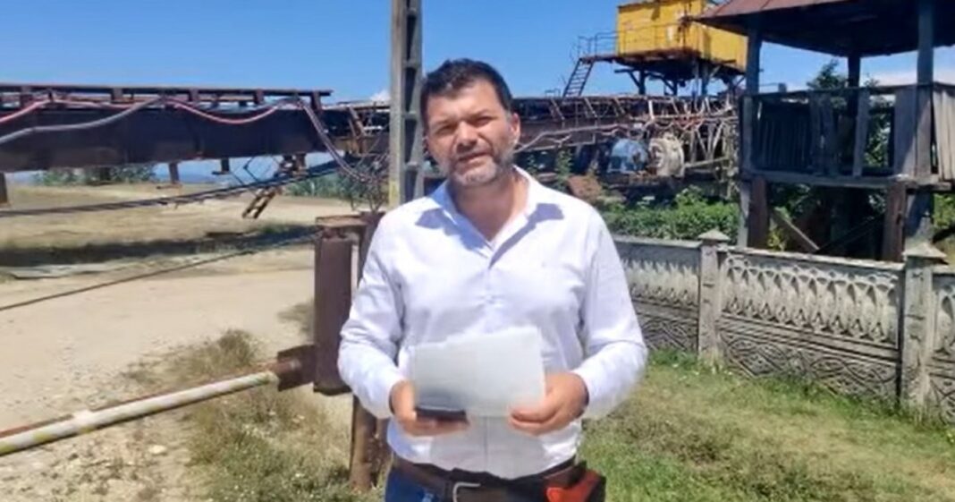 Împăduririle, blocate de interesele „mafiei subvențiilor”. Octavian Berceanu: „Pe terenuri sunt mulți primari sau prieteni de-ai lor”