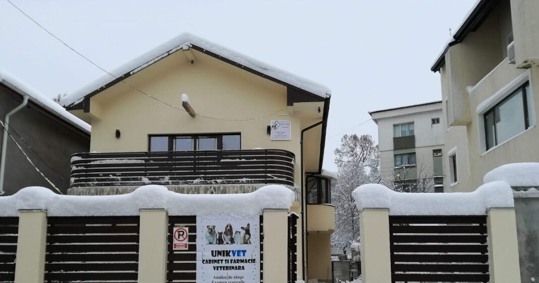 O femeie din Iași a fost amenințată cu moartea după ce a cumpărat o vilă: „I-a spus că o va omorî pe ea și câinii din curte”